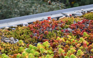 the cost of Higham Ferrers green roof installation