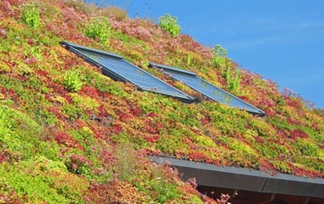 Higham Ferrers living roof systems